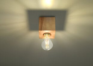 Sollux griestu lampa Ariz цена и информация | Потолочные светильники | 220.lv