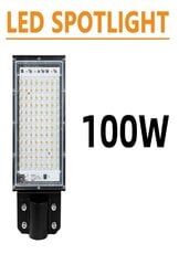 LED prožektors, 100W, AC 180-240V cena un informācija | Āra apgaismojums | 220.lv