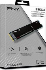 PNY M280CS900-250-RB цена и информация | Внутренние жёсткие диски (HDD, SSD, Hybrid) | 220.lv