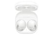 Samsung Galaxy Buds 2 SM-R177NZWAEUE cena un informācija | Austiņas | 220.lv