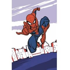 Детское полотенце Spiderman, 30x50 cм цена и информация | Полотенца | 220.lv