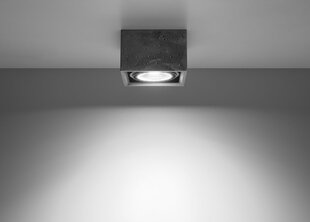 Sollux griestu lampa Quatro, gaiši pelēka, 1 spuldze цена и информация | Потолочные светильники | 220.lv