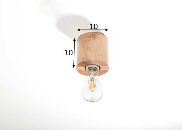 Sollux griestu lampa Salgado, brūna cena un informācija | Griestu lampas | 220.lv