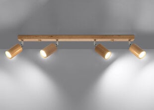 Потолочный светильник Sollux Berg 4 цена и информация | Потолочные светильники | 220.lv