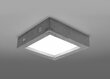 Sollux griestu lampa Riza, pelēka цена и информация | Griestu lampas | 220.lv