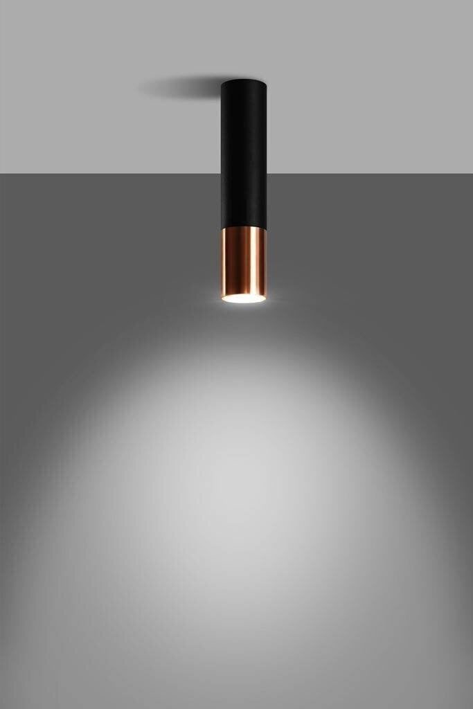 Sollux griestu lampa Loopez, melna un vara cena un informācija | Griestu lampas | 220.lv