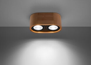 Sollux потолочный светильник Basic, коричневый цена и информация | Потолочные светильники | 220.lv