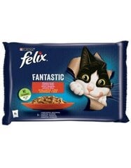 Felix mitrā kaķu barība ar liellopu gaļu un vistu, 4x85 g cena un informācija | Konservi kaķiem | 220.lv