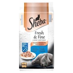 Sheba Fresh & Fine Mini mitrā kaķu barība ar zivju garšu, 6x50 g cena un informācija | Sheba Zoo preces | 220.lv