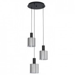 GOROSIBA pendant light цена и информация | Потолочные светильники | 220.lv