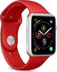 Закаленное стекло Puro для Apple Watch 7 (45 мм) цена и информация | Аксессуары для смарт-часов и браслетов | 220.lv