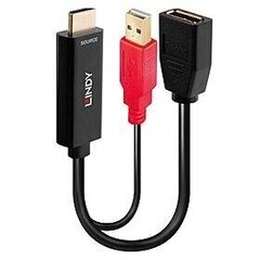 Ввод/вывод DP/38289, HDMI цена и информация | Адаптеры и USB разветвители | 220.lv