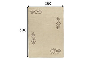 Theko paklājs Taza Royal 250x300 cm cena un informācija | Paklāji | 220.lv