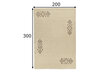 Theko paklājs Taza Royal 200x300 cm cena un informācija | Paklāji | 220.lv