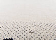 Theko paklājs Denver 170x240 cm cena un informācija | Paklāji | 220.lv
