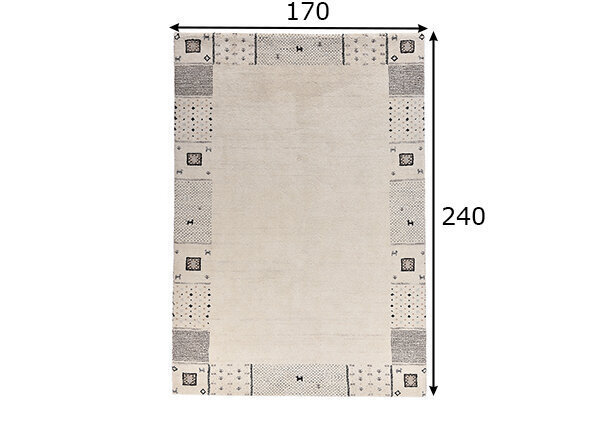 Theko paklājs Denver 170x240 cm cena un informācija | Paklāji | 220.lv