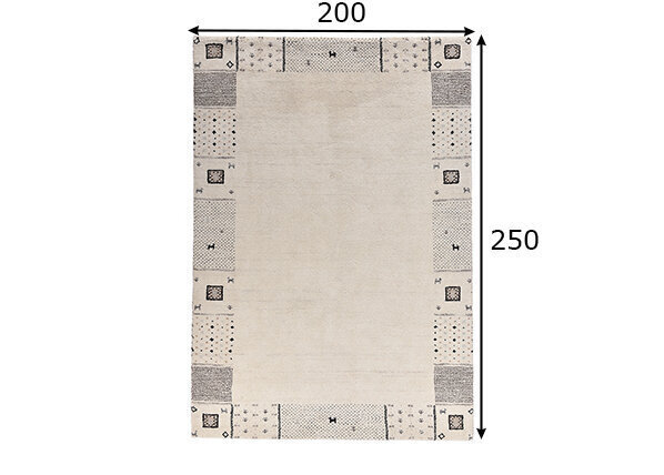 Theko paklājs Denver 200x250 cm cena un informācija | Paklāji | 220.lv