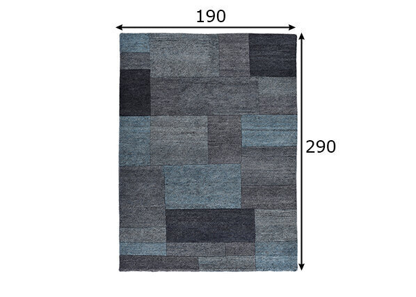 Theko paklājs Dalas 190x290 cm cena un informācija | Paklāji | 220.lv
