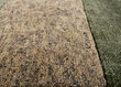 Theko paklājs Dalas 90x160 cm cena un informācija | Paklāji | 220.lv