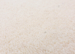 Theko paklājs Maloronga 250x350 cm cena un informācija | Paklāji | 220.lv
