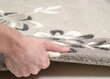 Theko paklājs Napura 50x80 cm cena un informācija | Paklāji | 220.lv