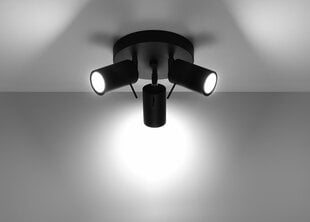 Sollux griestu lampa Ring 3P цена и информация | Потолочные светильники | 220.lv