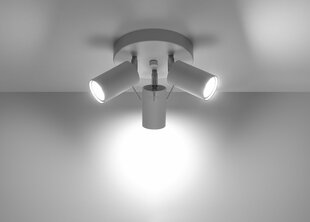 Sollux griestu lampa Ring 3P cena un informācija | Griestu lampas | 220.lv