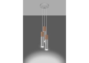 Потолочный светильник Sollux Pablo 3P цена и информация | Потолочные светильники | 220.lv