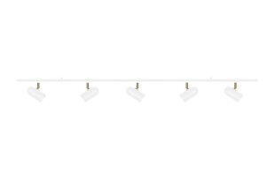 Потолочный светильник Globen Lighting Swan цена и информация | Потолочный светильник | 220.lv