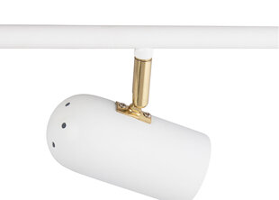 Потолочный светильник Globen Lighting Swan цена и информация | Потолочные светильники | 220.lv