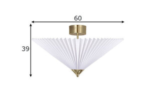 Globen Lighting griestu lampa Matisse цена и информация | Потолочные светильники | 220.lv