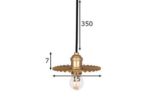 Globen Lighting griestu lampa Omega цена и информация | Потолочные светильники | 220.lv