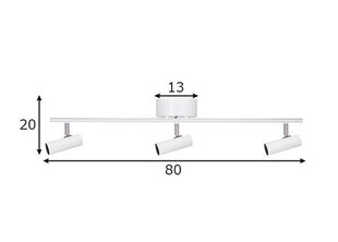 Globen Lighting griestu lampa Hubble цена и информация | Потолочные светильники | 220.lv