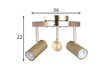Globen Lighting griestu lampa Hubble цена и информация | Griestu lampas | 220.lv