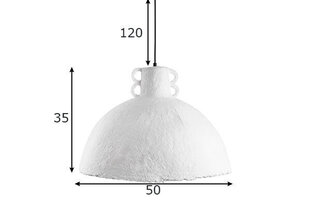 Потолочный светильник Globen Lighting Mache 50 цена и информация | Потолочные светильники | 220.lv