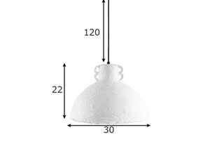 Globen Lighting griestu lampa Mache 30 cena un informācija | Griestu lampas | 220.lv