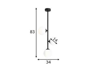 Aldex griestu lampa Libra cena un informācija | Griestu lampas | 220.lv