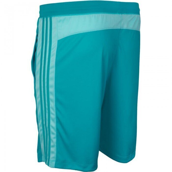 Vīriešu šorti Adidas Design 2 Move Short 3 Stripes M BQ3191, zils cena un informācija | Vīriešu šorti | 220.lv