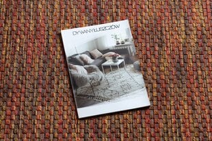 Cовременный ковёр Sizal Fisy 20774, красный цена и информация | Ковры | 220.lv