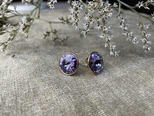 Серьги с фиолетовым кристаллом Сваровски цена и информация | Серьги | 220.lv