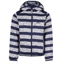 Džemperis zēniem Trespass UCFLFLTR0010 - Conjure – Unisex Kids Fleece AT200 cena un informācija | Zēnu jakas, džemperi, žaketes, vestes | 220.lv