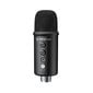 Mikrofons MFA09 cena un informācija | Mikrofoni | 220.lv