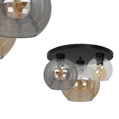 Milagro потолочный светильник Sofia Mix цена и информация | Потолочный светильник | 220.lv