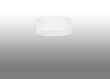 Sollux griestu lampa Skala, balta, 30 cm цена и информация | Griestu lampas | 220.lv