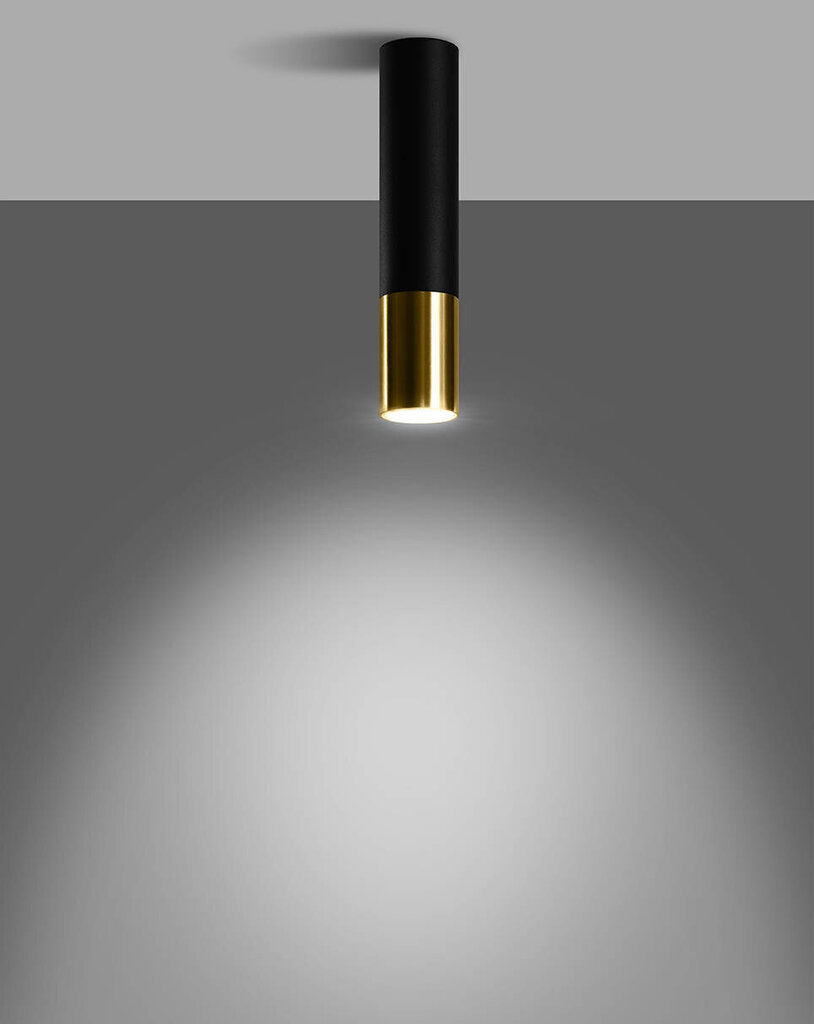 Sollux griestu lampa Loopez, melna un zelta цена и информация | Griestu lampas | 220.lv