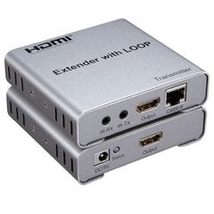 HDMI pagarinātājs 100m, 4K цена и информация | Кабели и провода | 220.lv