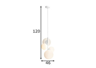 Aldex потолочный светильник Bloom цена и информация | Потолочные светильники | 220.lv