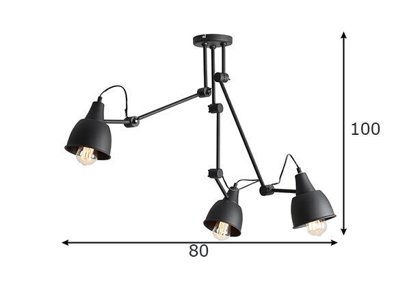 Aldex griestu lampa Aida cena un informācija | Griestu lampas | 220.lv