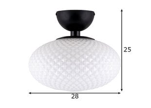 Globen Lighting griestu lampa Jackson cena un informācija | Griestu lampas | 220.lv