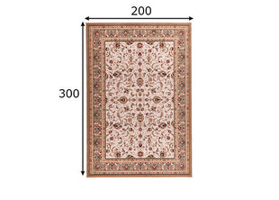 Theko paklājs Dolna 200x300 cm cena un informācija | Paklāji | 220.lv